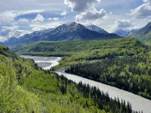 A view of an Alaskan mountain with a stream leading from the foreground into the distance.