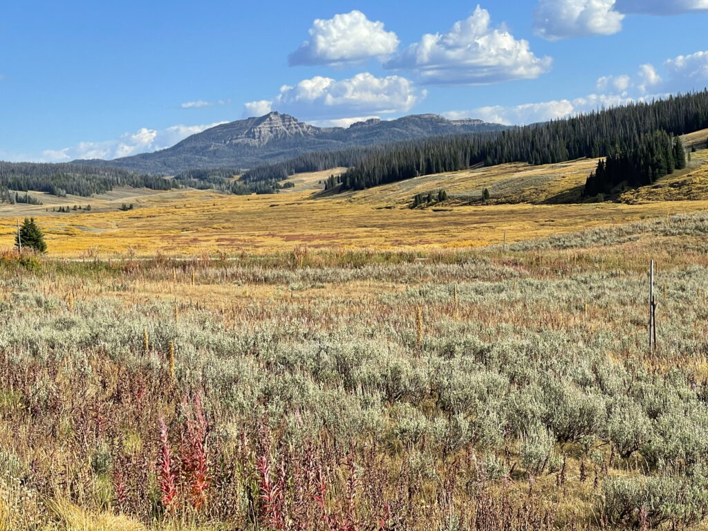 Wyoming autumn landscape