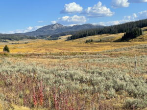 Wyoming autumn landscape