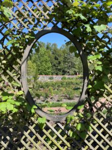 Looking through a lattice window