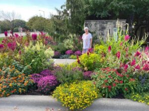 Mum with fall flowers