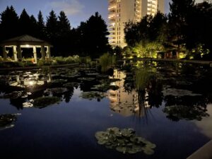 Denver Botanic Gardens at night